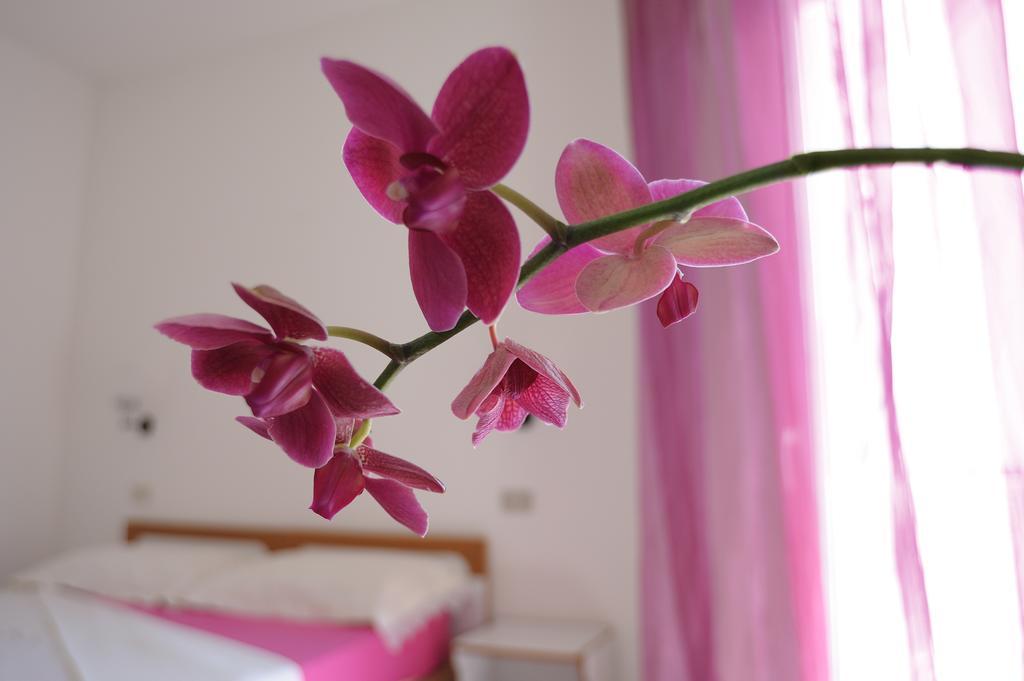 Solemare Hotel E Residence 米萨诺阿德里亚蒂科 外观 照片